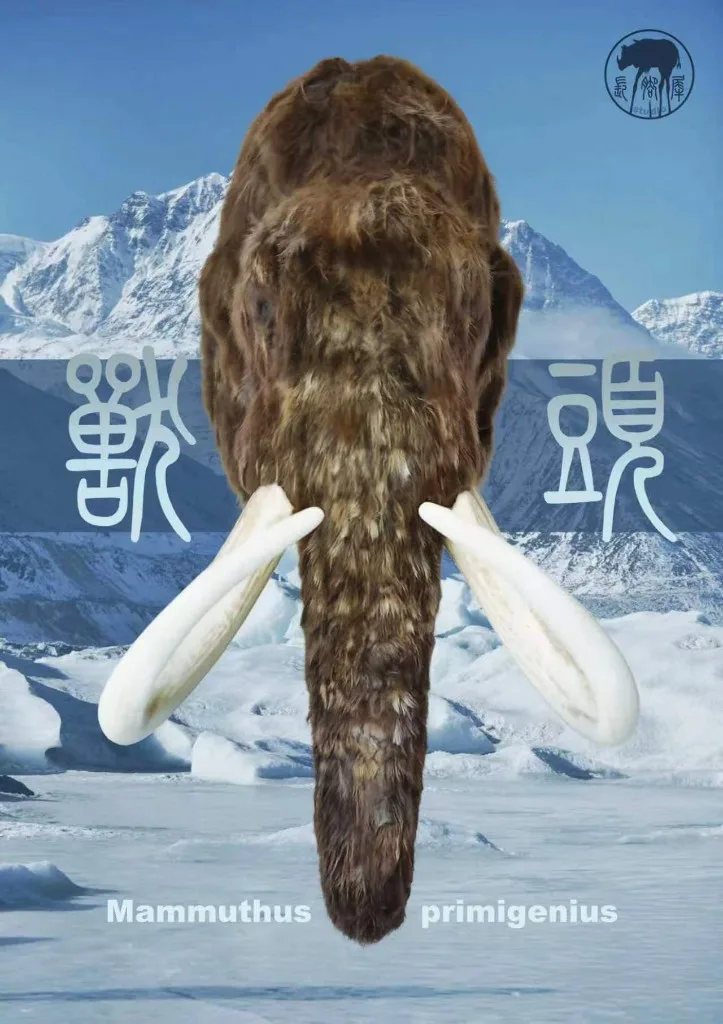 兽头系列古兽款真猛犸象封面