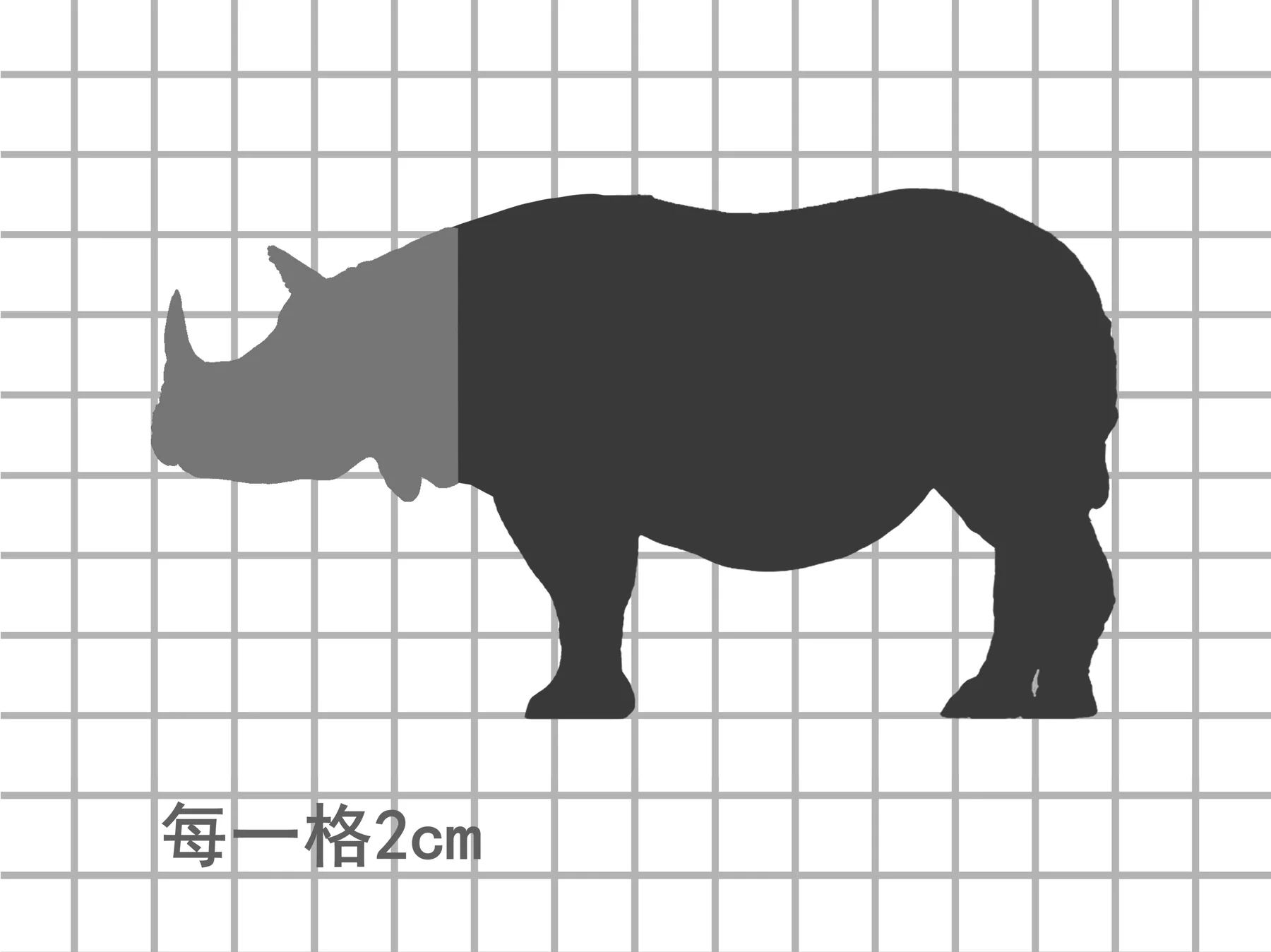 兽头系列限定款印度犀牛比例图